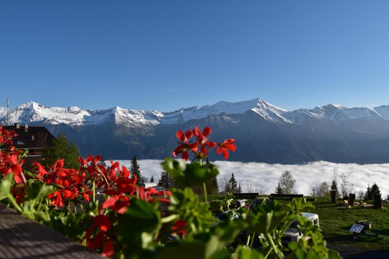 Chemihuettli Apartments Axalp Exterior photo